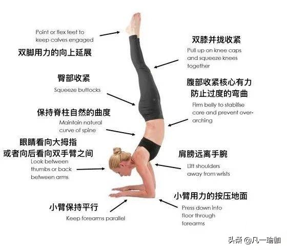 瑜伽练习的基本原则,瑜伽之光讲的什么