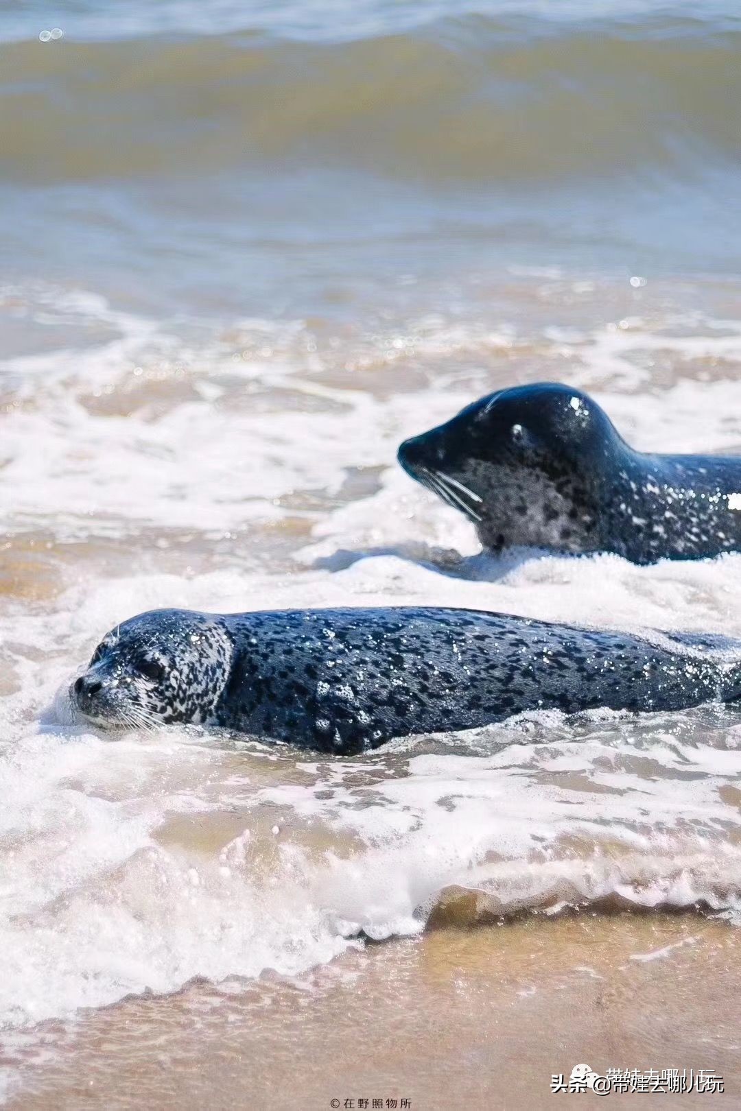 阿那亚民宿亲子游,阿那亚亲子游记2021