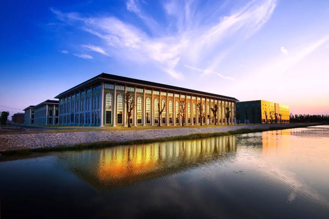 扬子江药业重大项目,扬子江药业战略布局