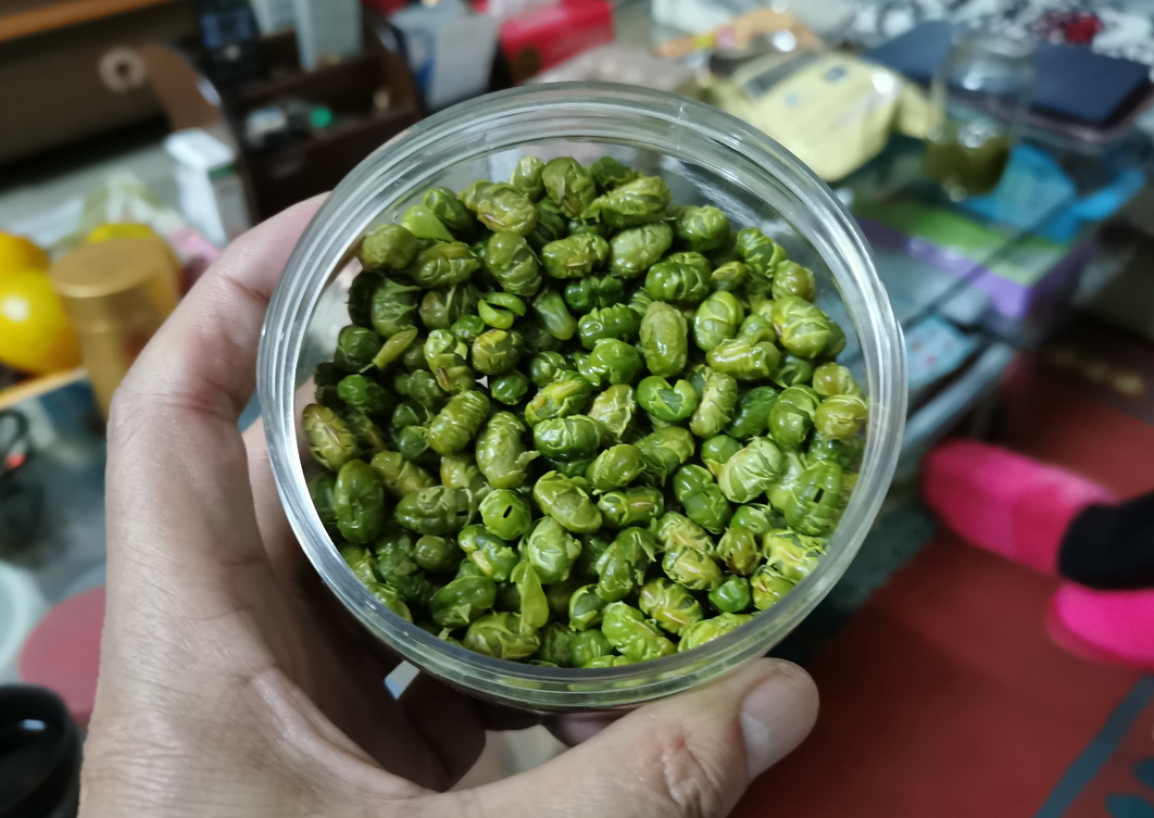 浙江桐乡：用四天品味26载沉淀情谊，程家的饭菜就是我最幸福时光