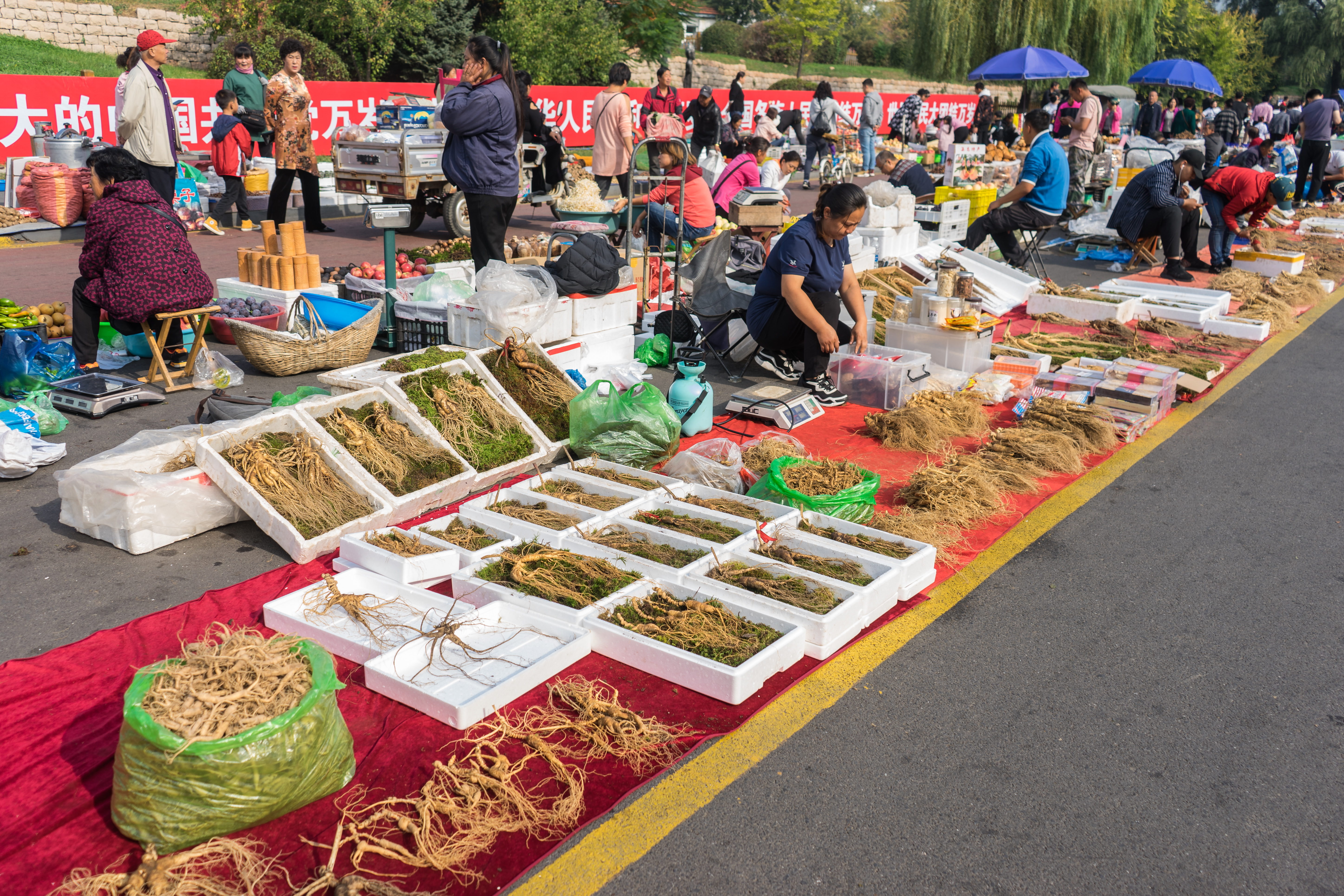 中朝边境自驾游视频,331国道自驾中朝攻略