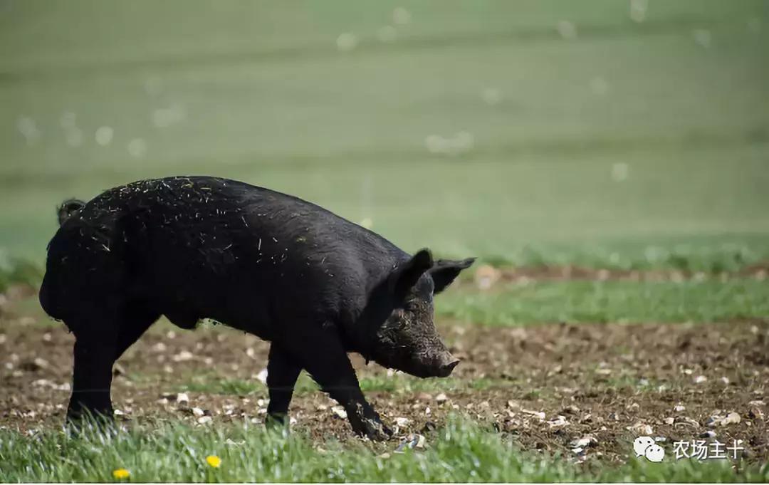 土特产怎么经营最好,打破困局的最好方法