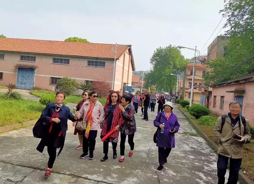 老知青50年后再聚首感叹今昔巨变,五十年后再聚首白发知青永恒情谊