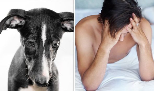 生育率下降男性精子质量,生育率的降低对宠物行业的影响