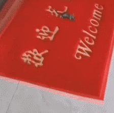 小卖部老板养了一只招财猫,店老板养的猫咪