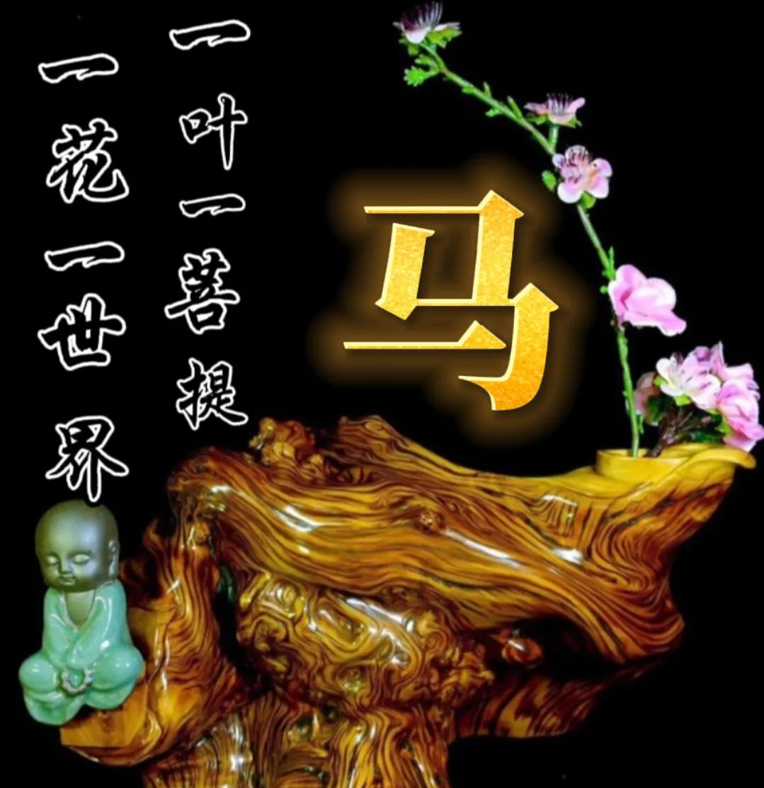 一花一世界一叶一菩提头像,一叶一菩提禅意微信头像