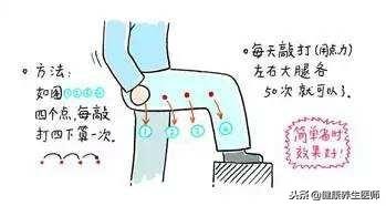 胆经淤堵肩颈,黄帝内经对胆经的作用