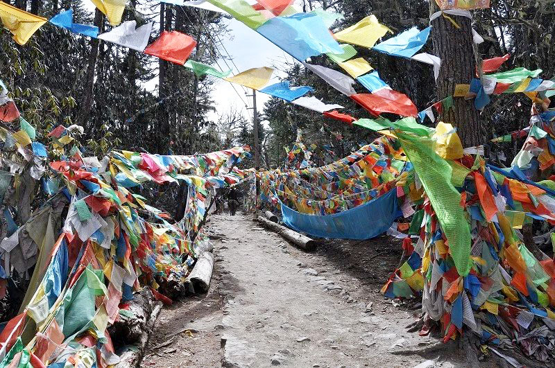 雪山脚下的雨崩村徒步,雨崩村徒步之旅