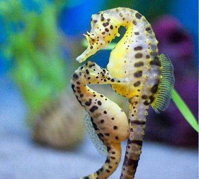 代沟的主要责任在父母还是孩子,如何解决父母和孩子代沟问题