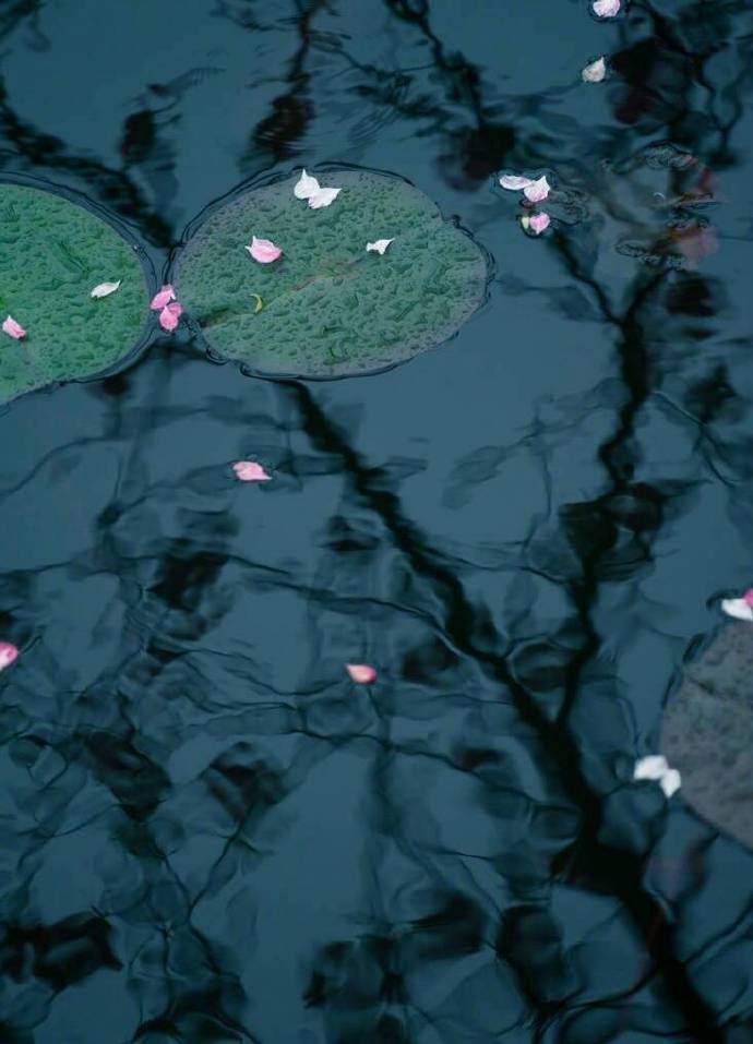 书信、酒、月亮、太阳、银河的雅称，你都听过吗？收藏学习