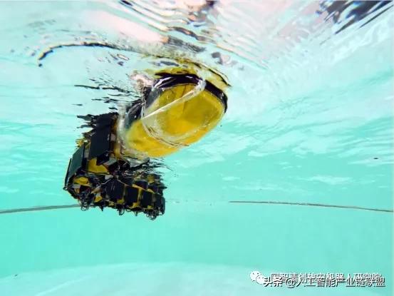 未来水下机器人发展趋势,水下机器人国际