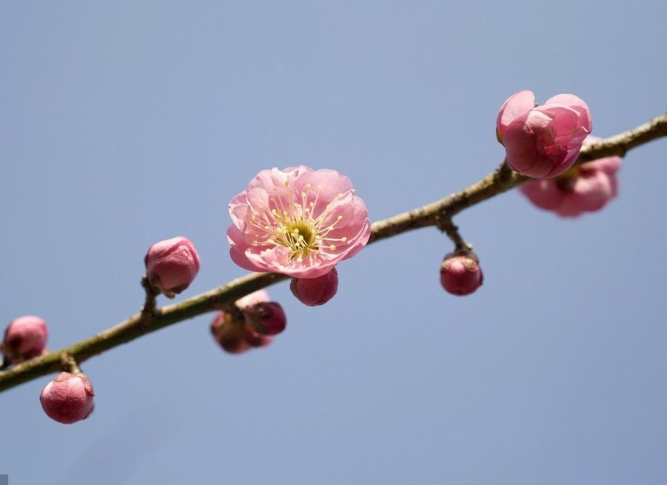 期货交易时机,期货交易关键点位判定条件