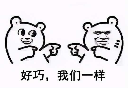 美国一号petag羊奶粉,美国宠物奶粉推荐