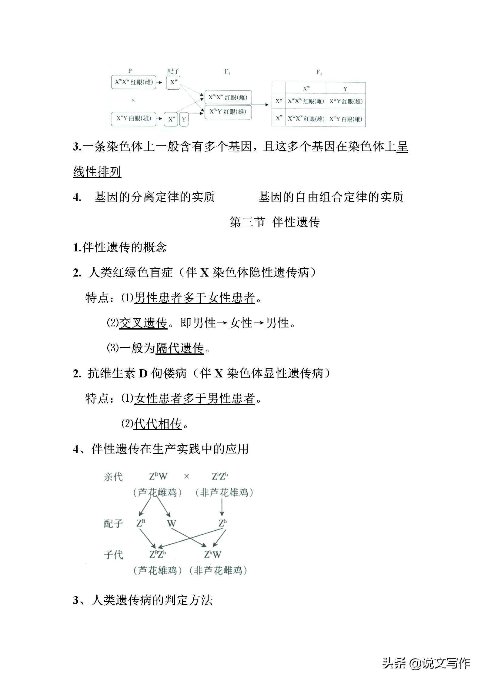 高中生物必修二减数分裂有丝分裂,人教版高中生物必修二课本电子版