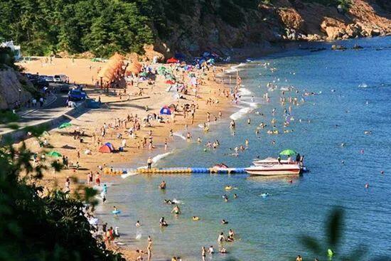 不去海边,不去海边哪里有贝壳