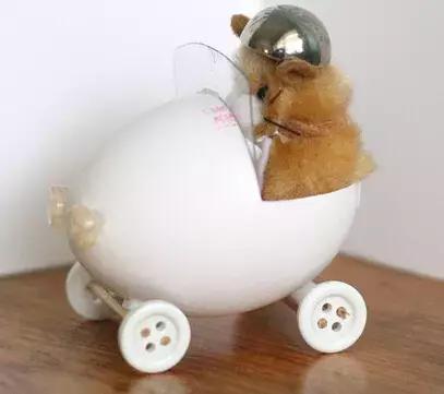 鸡蛋壳托盘手工作品创意,鸡蛋壳手工制作创意粘贴墙面画