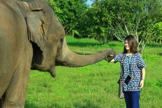 泰国五日四夜自由行攻略,泰国十大自由行攻略