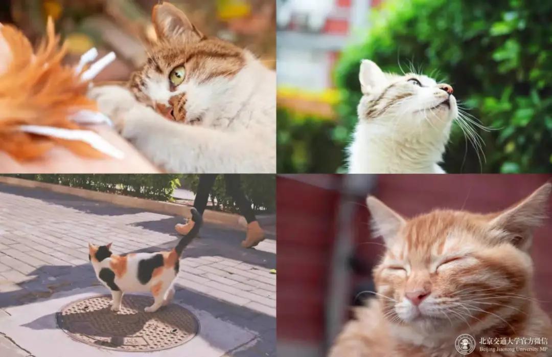 多少分可以上个好大学,多少分能上美校