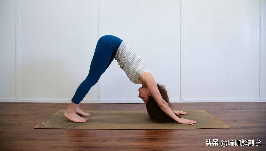 坚持瑜伽晨练励志短句,晨练运动教程瑜伽支撑