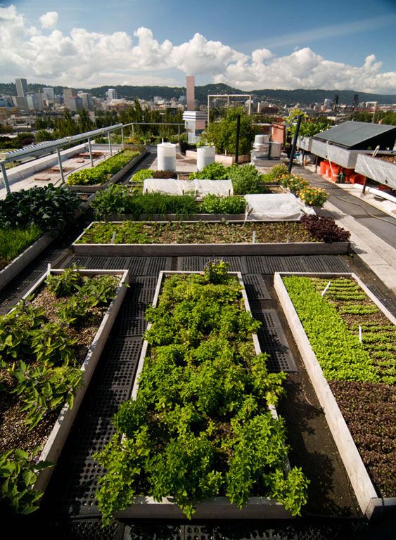 顶楼缺点及装修注意事项,顶楼有哪些优点和缺点