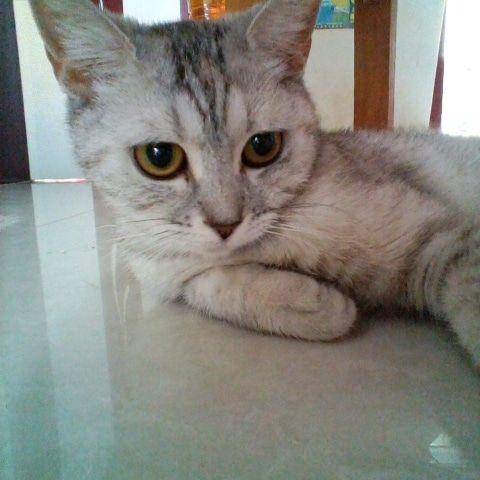 360儿童手表9x深度测评,360儿童手表9x开箱视频