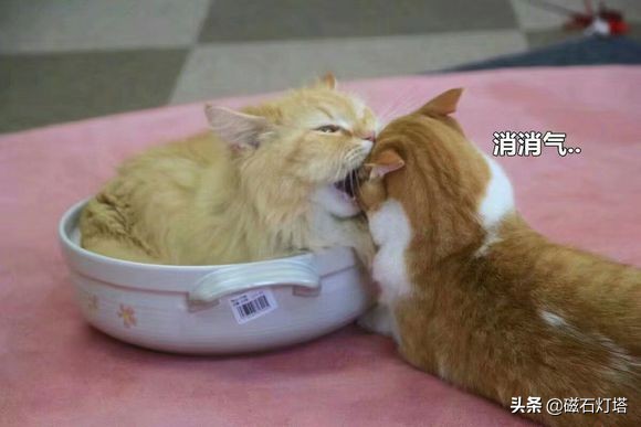 剑网3情缘,剑网情缘3