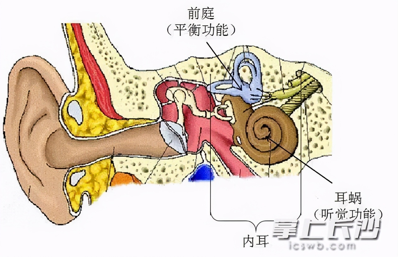 七十岁老人走路头晕怎么回事,老年人走路摇晃晕