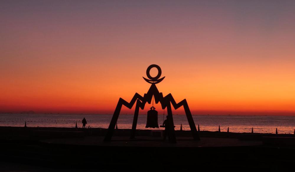 正宗日照绿茶什么样,日照绿茶全国有名