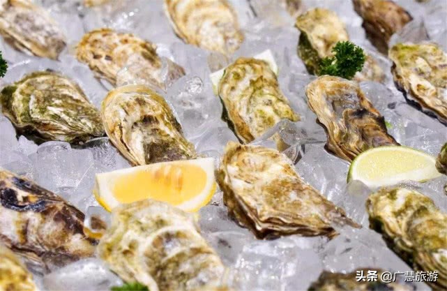 去日照旅游渔家乐哪里最合适,日照渔家乐旅游推荐