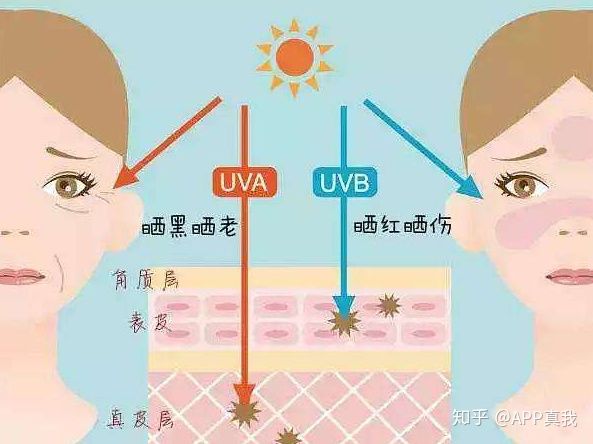 为什么推荐澳洲防晒产品?热带人民亲测,只有这几款能防晒黑
