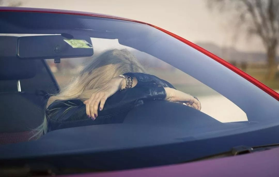 开车无意撞到了小动物该怎么处理,开车行驶撞到动物如何处理