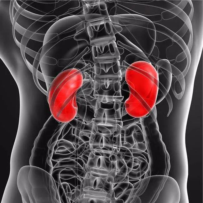 尿多尿少与肾功能,尿多尿少是什么病