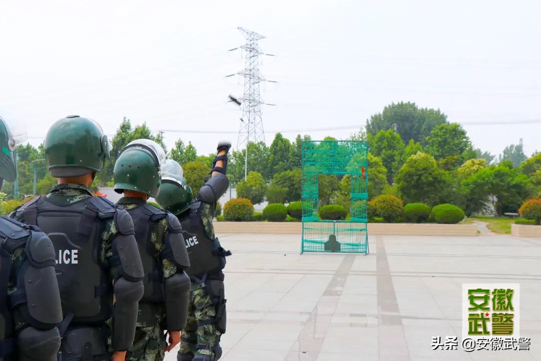 “燃值”飙升!直击夏日练兵场