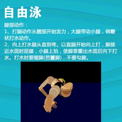 游泳初学者怎样出发,夏天初学游泳视频