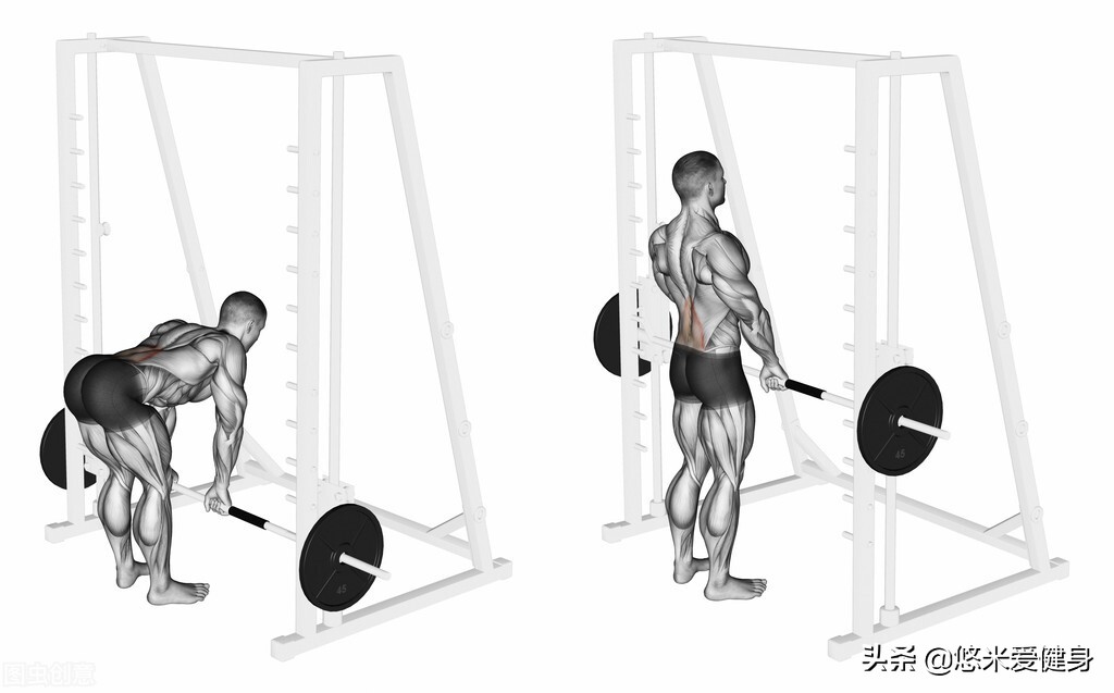 直腿硬拉的正确动作,直腿硬拉标准详细动作教学