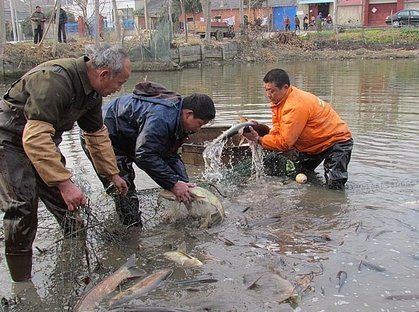 梦回丹阳之追忆原唱,梦回丹阳文旅