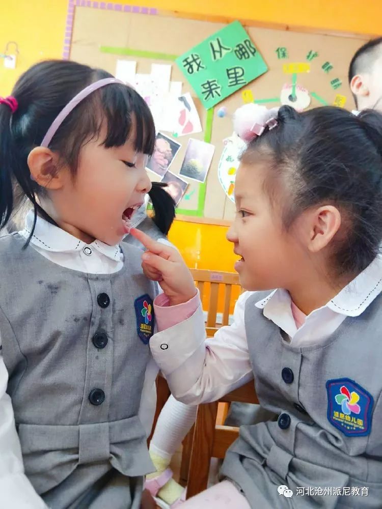 身体大揭秘动画,身体大揭秘