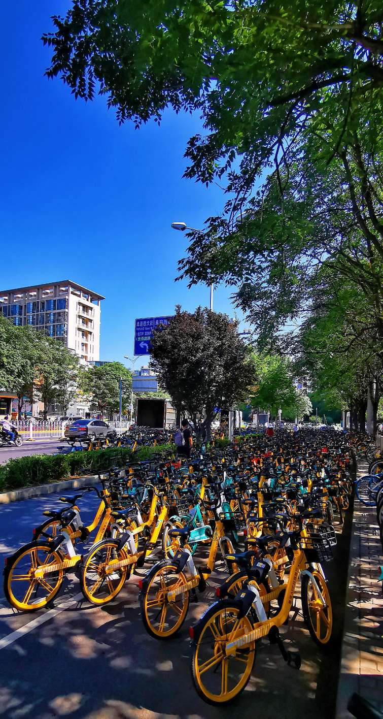 鍖椾含绉樺,鍖椾含绉樺涔嬫梾