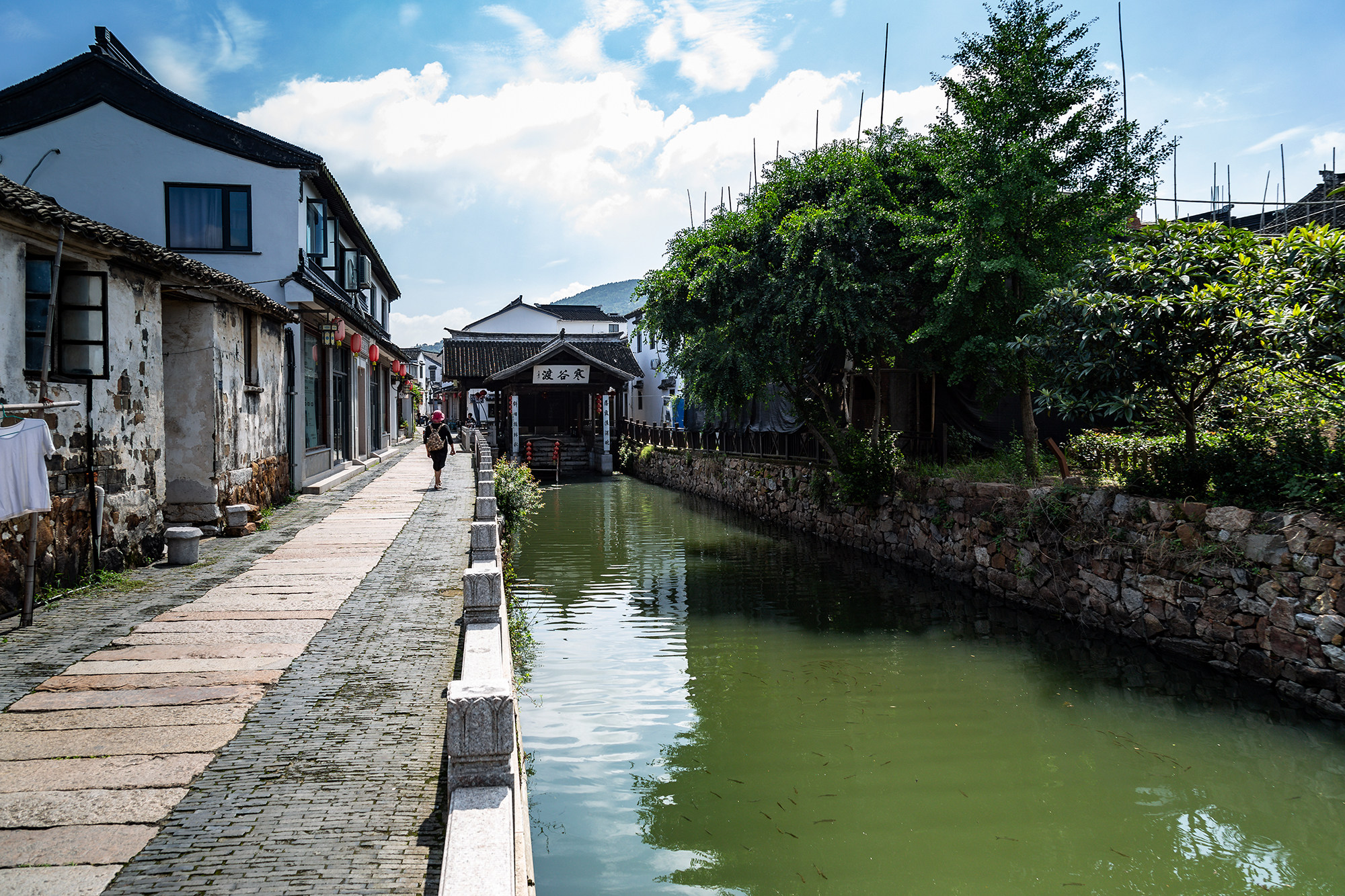 姑苏人都不知道的轻徒步道，穿越万亩茶园，将苍茫的太湖尽收眼底