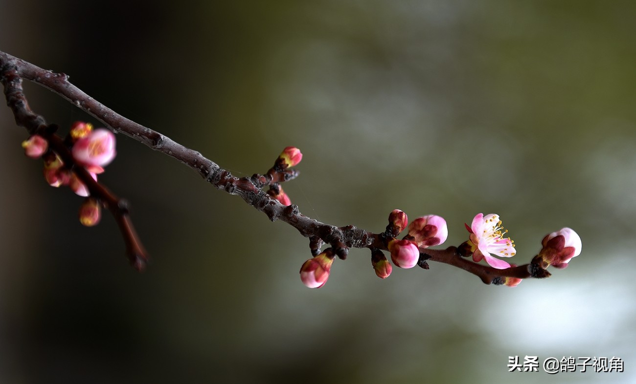 难容之事不妨付之一笑,生气时能够坦然一笑是一种大度