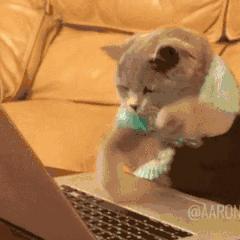 十大不建议买的单品,买了必后悔的三样单品