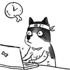 世界再大,也要回家!回家路漫漫其修远兮,春节抢票攻略