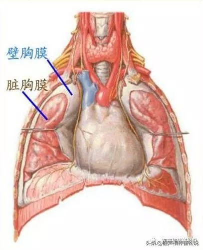 胸痛最可怕的三种疾病,十种常见的胸痛疾病