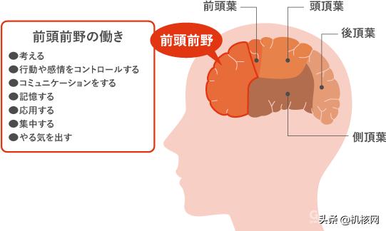 从“知育玩具”到千万级销量,带你了解十多年前的“爆款网红”