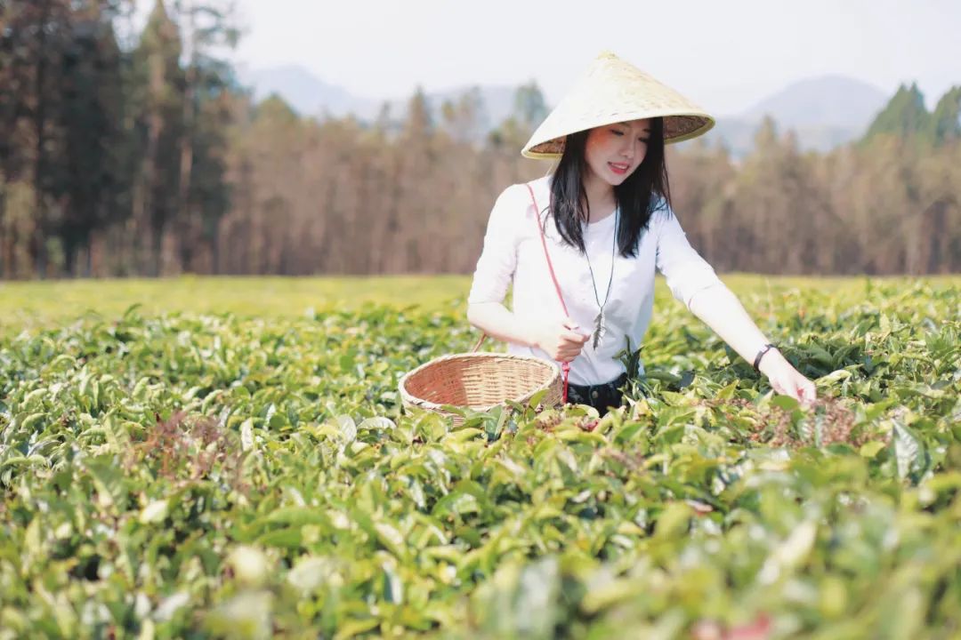 苏州女子6次腾冲旅行,总结了这些极美的小众景点,建议收藏