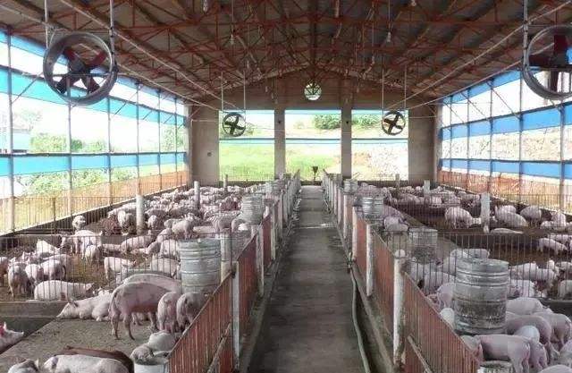 想建养殖基地申请怎么写,想建个猪场怎么申请