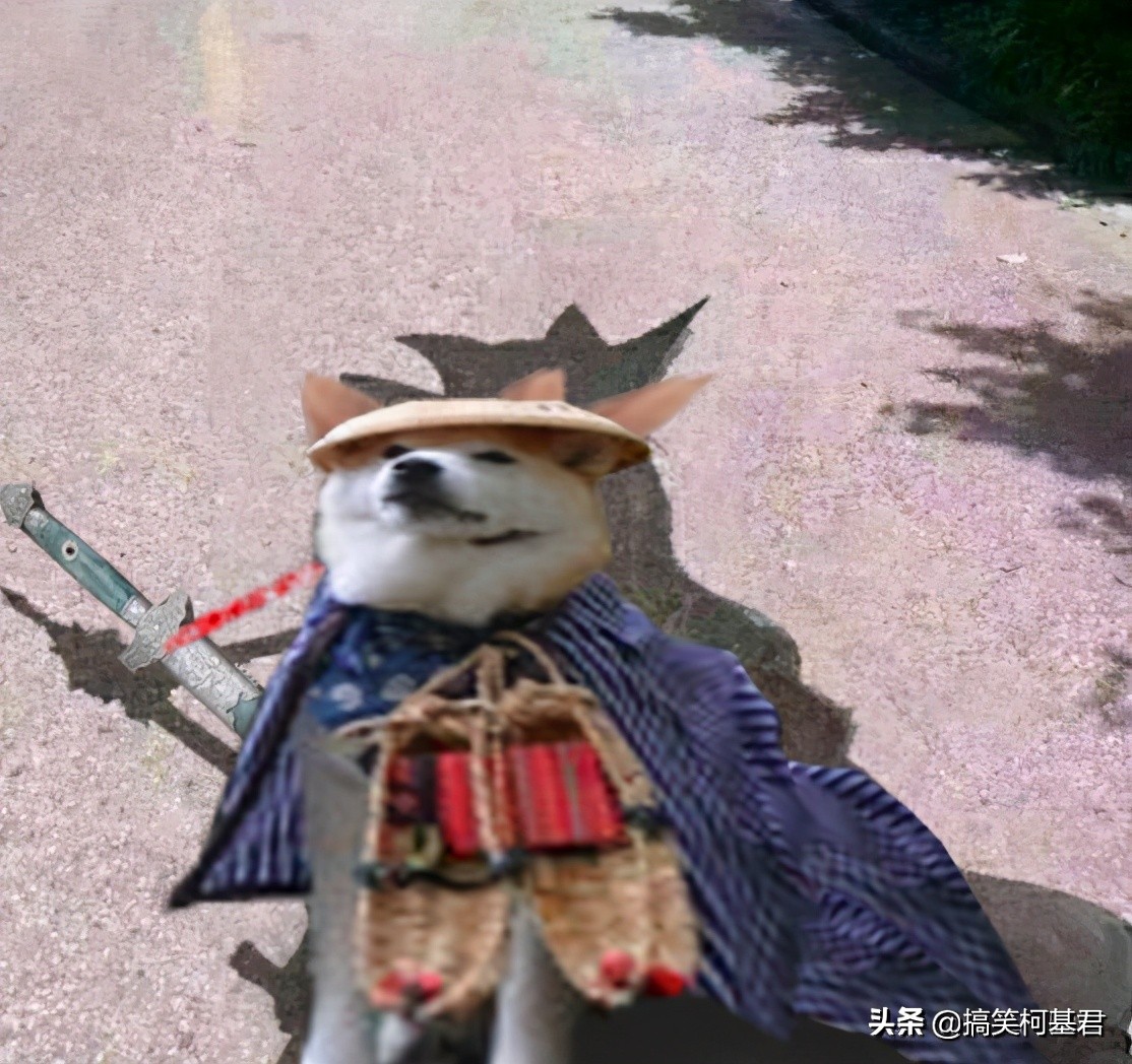 ps搞笑图对比,大神级的ps恶搞图片