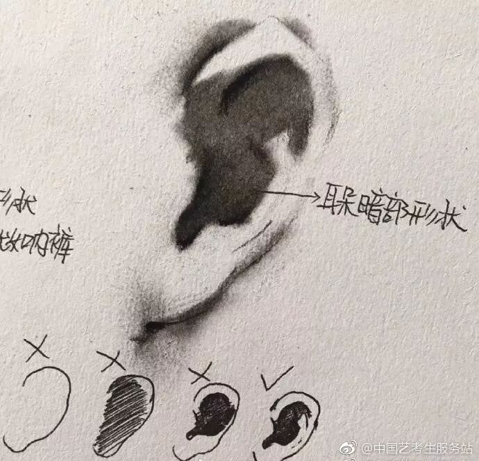 优质素描,优质素描静物