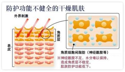 去皱纹轻松拥有好皮肤,皮肤皱纹多吃什么保养