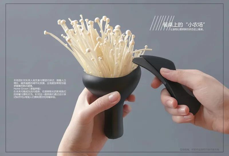 食物设计案例,健康饮食的设计意图